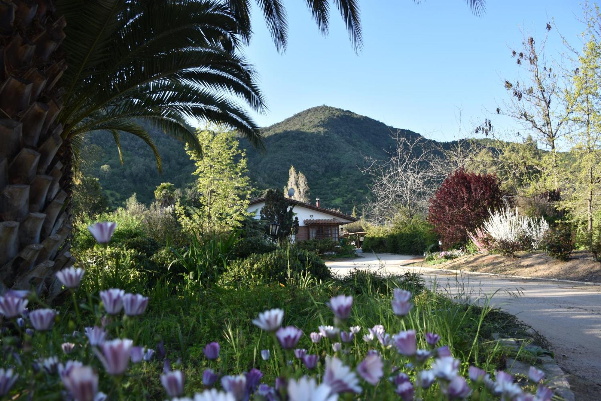 Hotel Boutique Solaz Bella Vista De Colchagua 산타크루스 외부 사진
