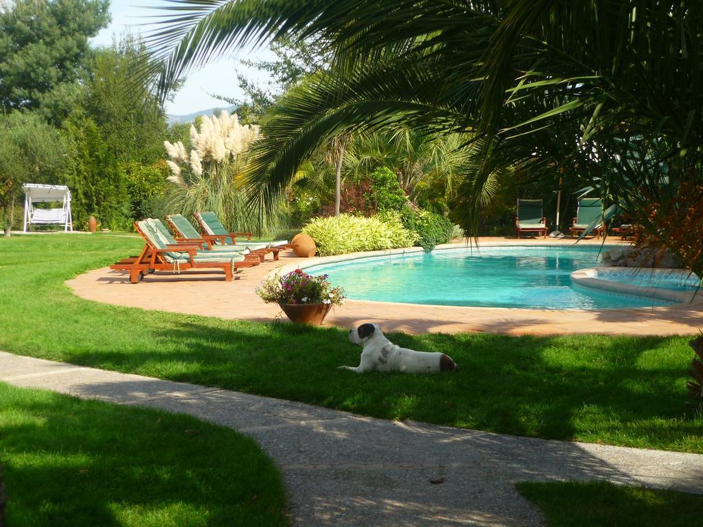 Hotel Boutique Solaz Bella Vista De Colchagua 산타크루스 외부 사진