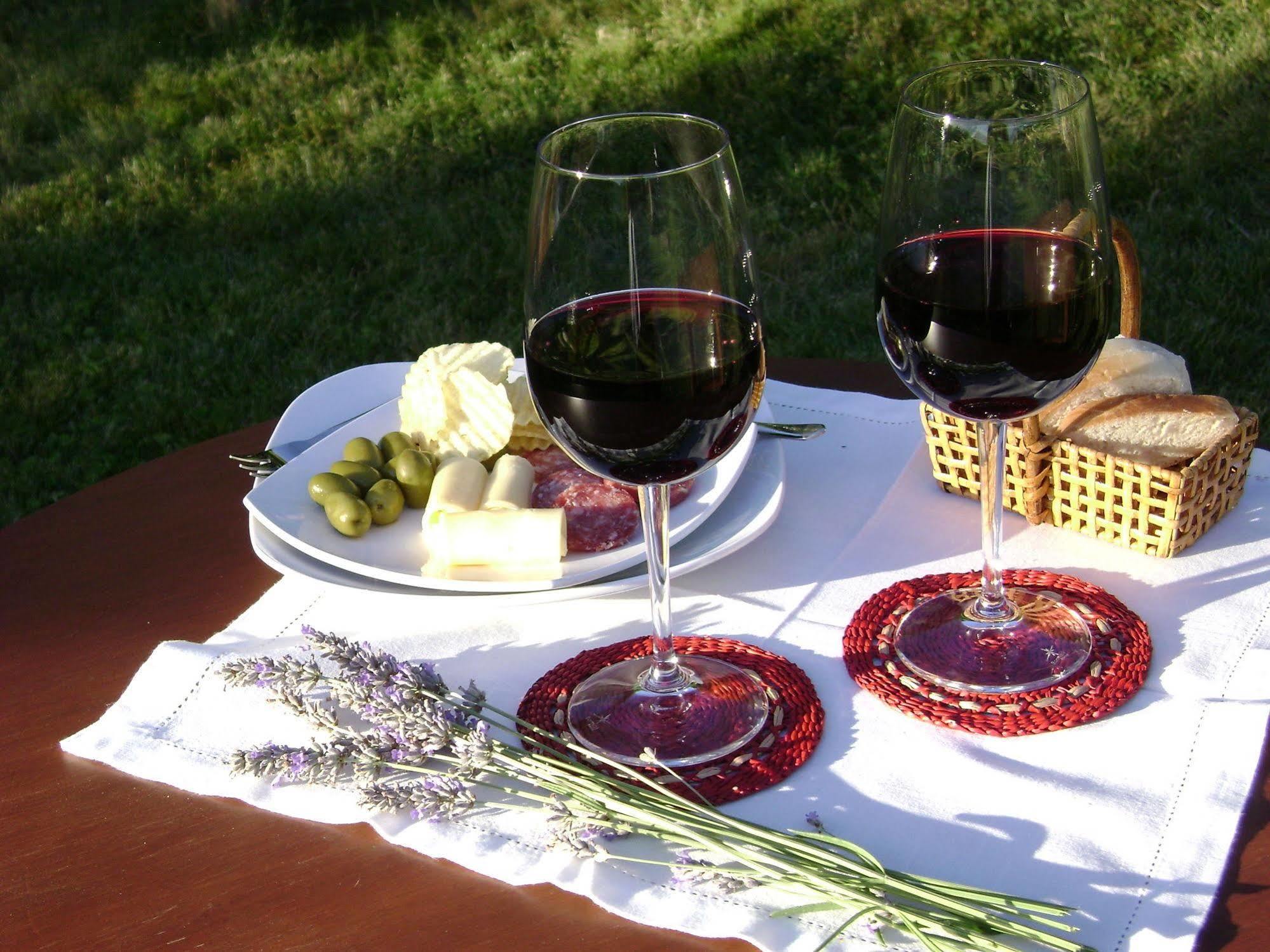 Hotel Boutique Solaz Bella Vista De Colchagua 산타크루스 외부 사진